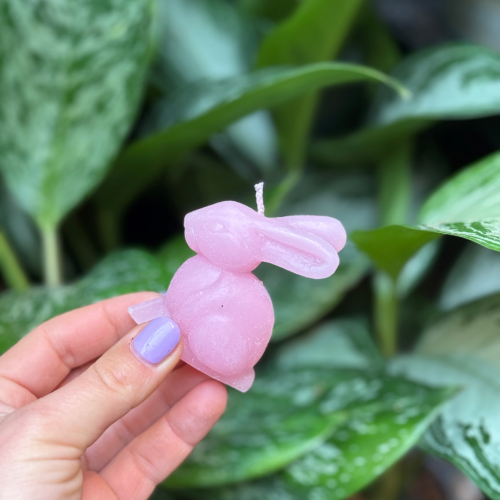 Konijn kaarsen pastel