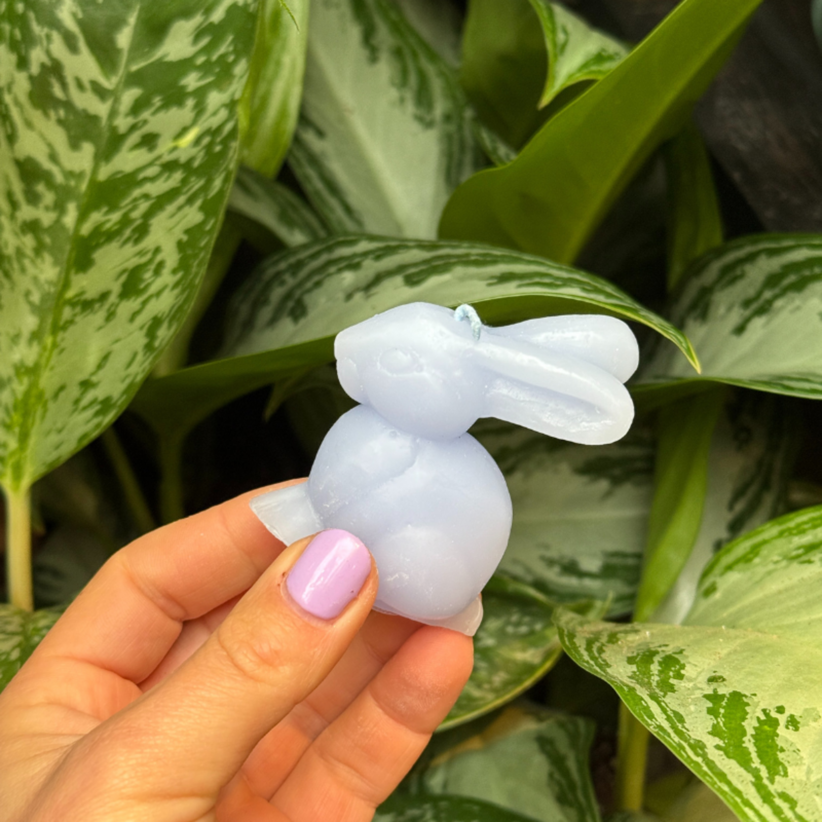 Konijn kaarsen pastel