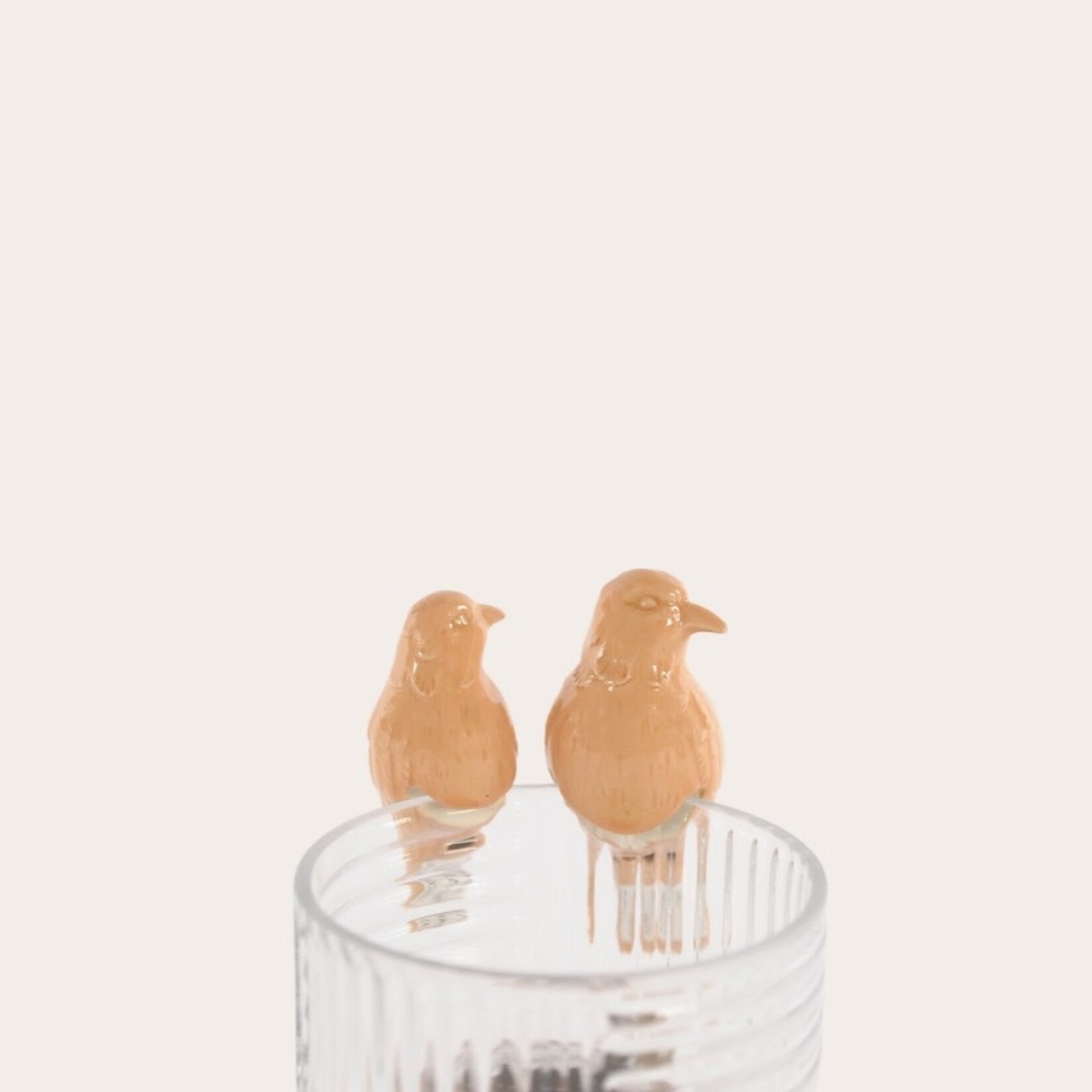 Decoratie Vogels - Perzik