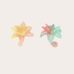 Decoratie Amaryllis