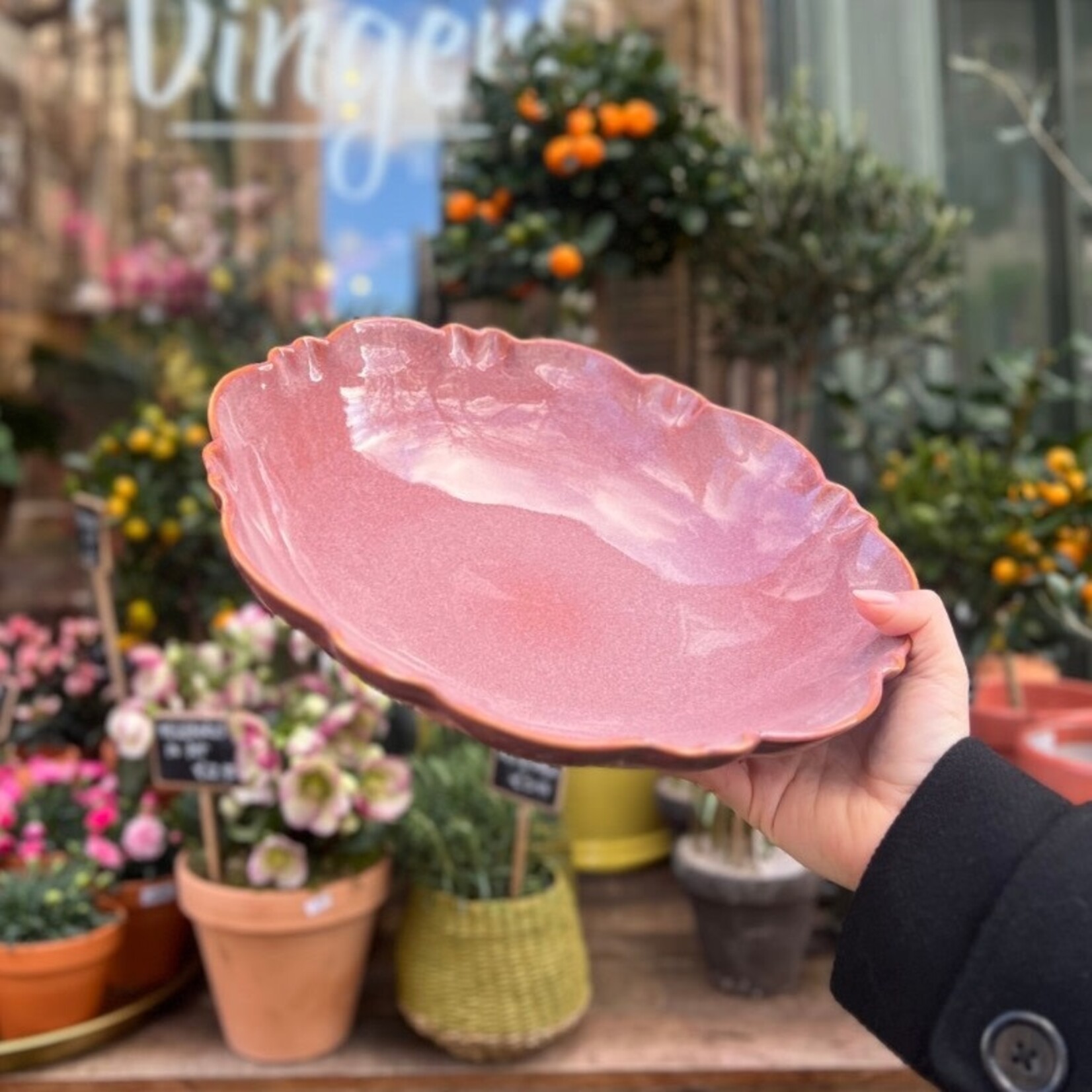 Schaal Moris - Marron Glacé S