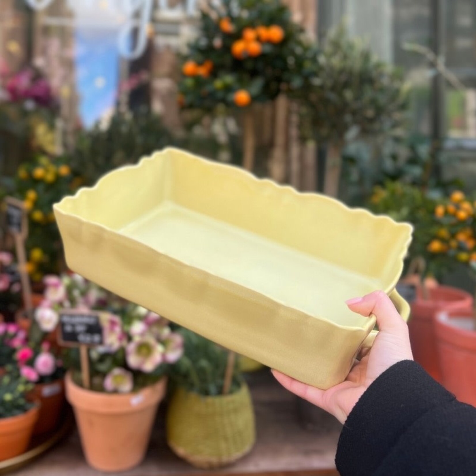 Ovenschaal Moris - Agua Limon M