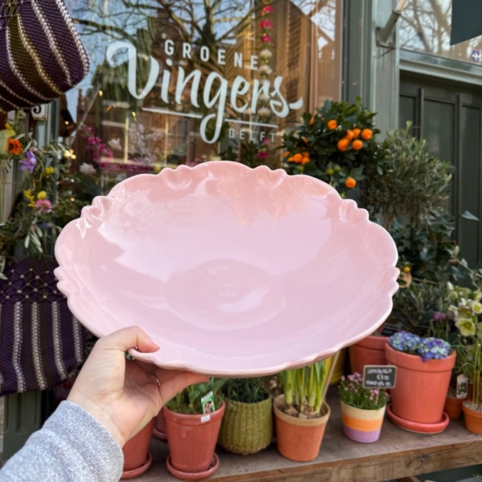 Schaal Moris - Rose Fondant M