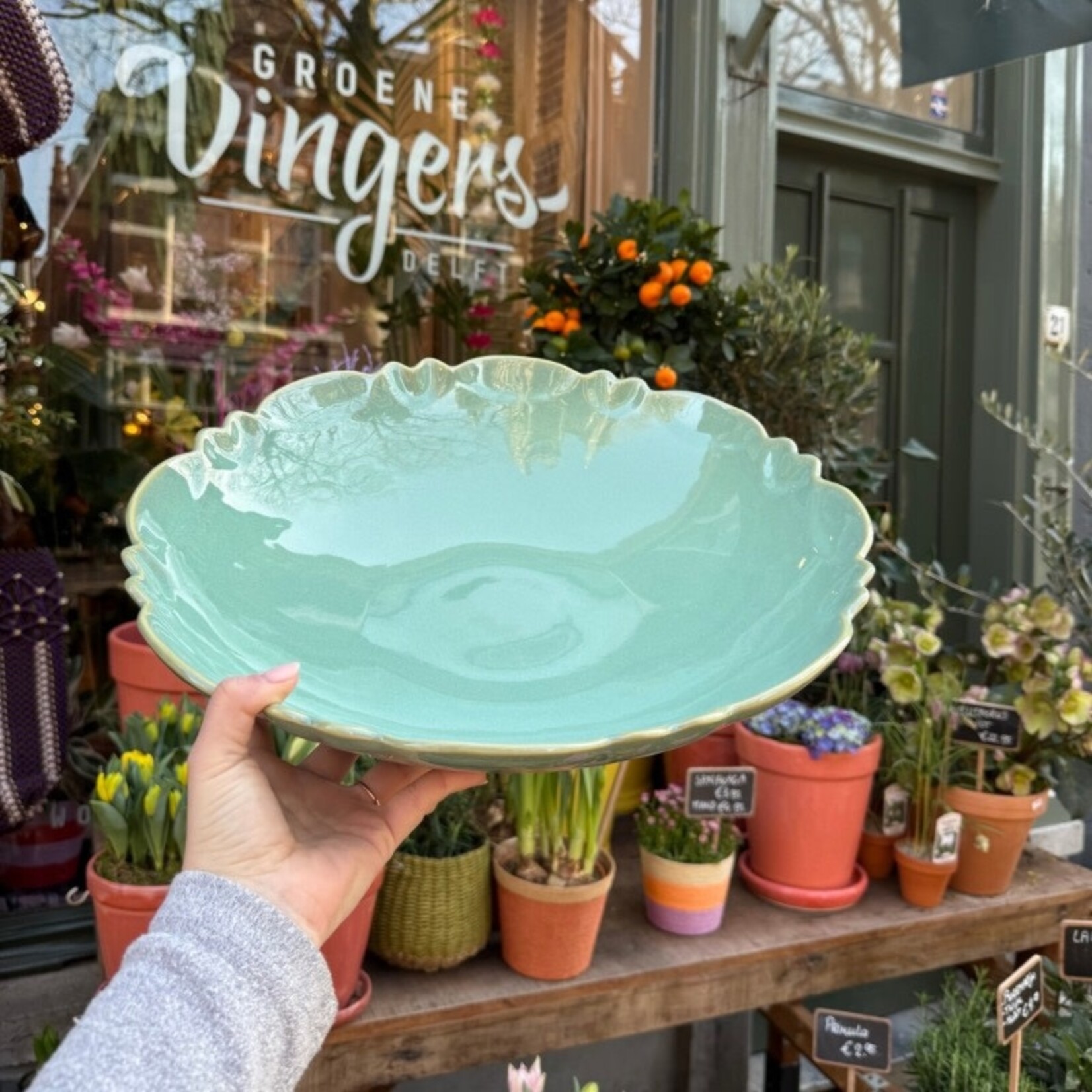 Schaal Moris - Emeraude Bleue M