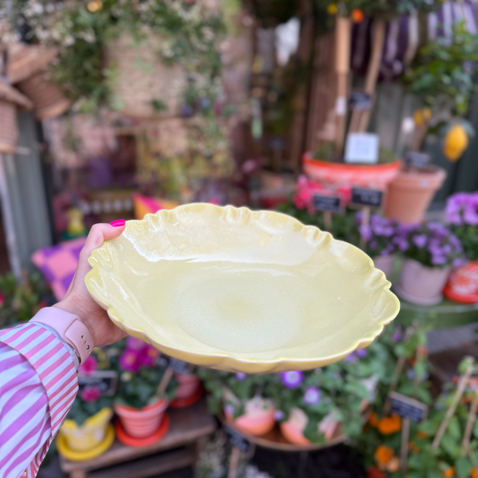 Schaal Moris - Agua Limon S