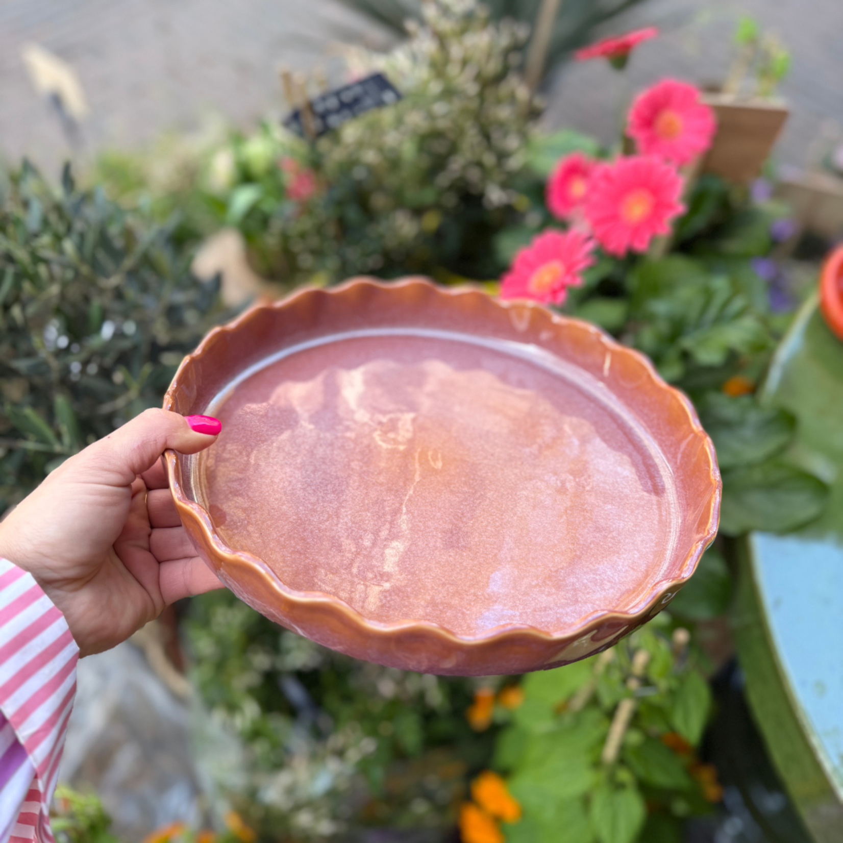 Taartschaal Moris - Marron Glace S