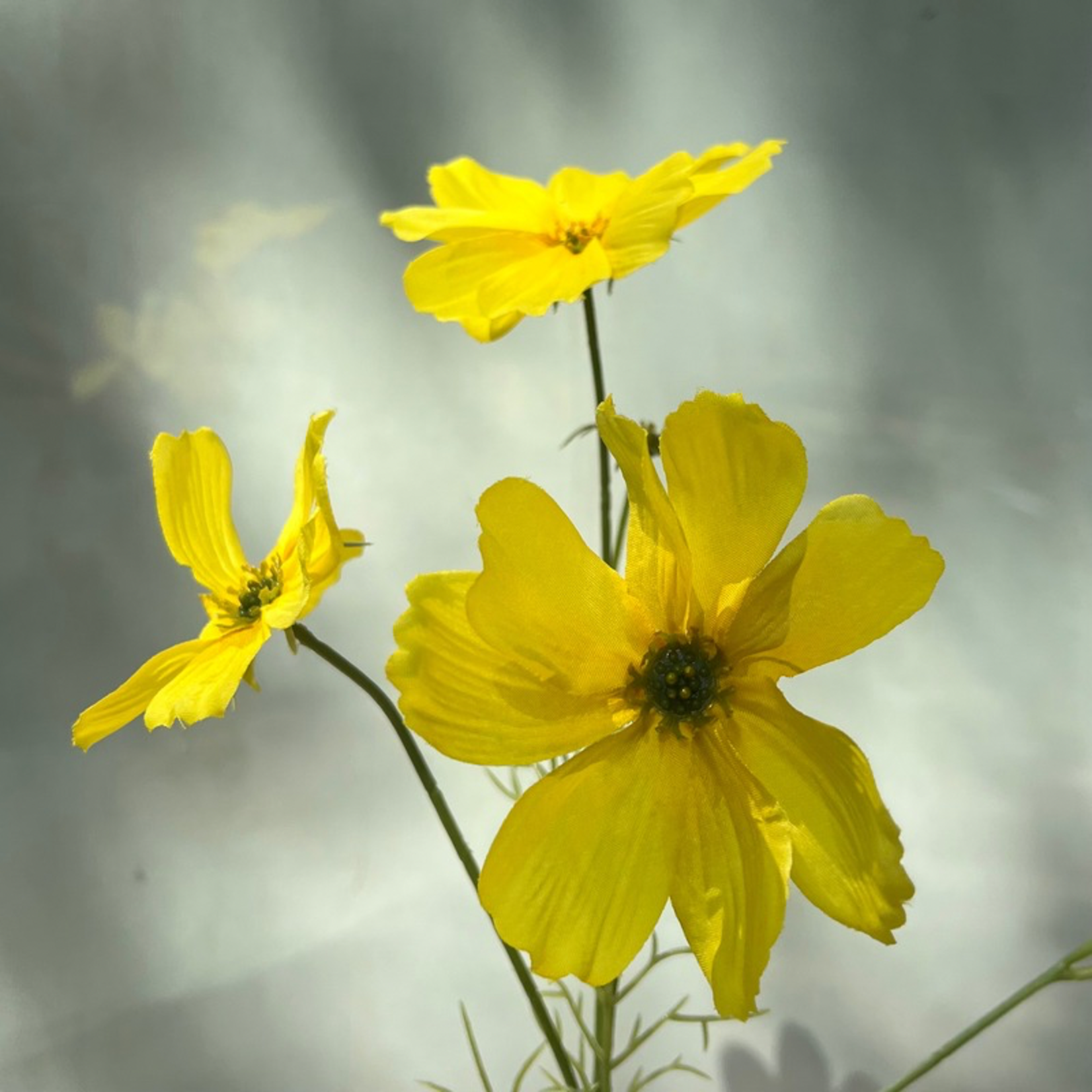 Zijden bloem -  Cosmos spray - Geel
