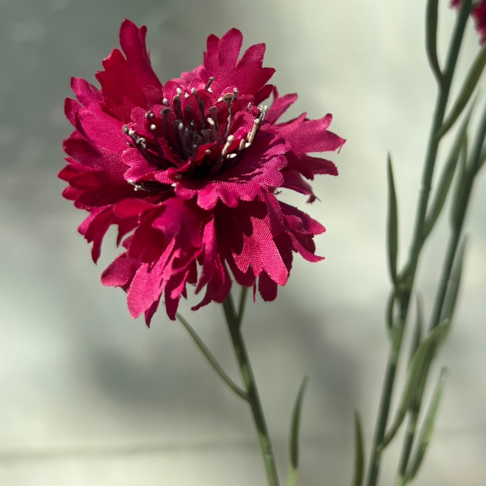Zijden bloem -  Cornflower spray - Fuchsia
