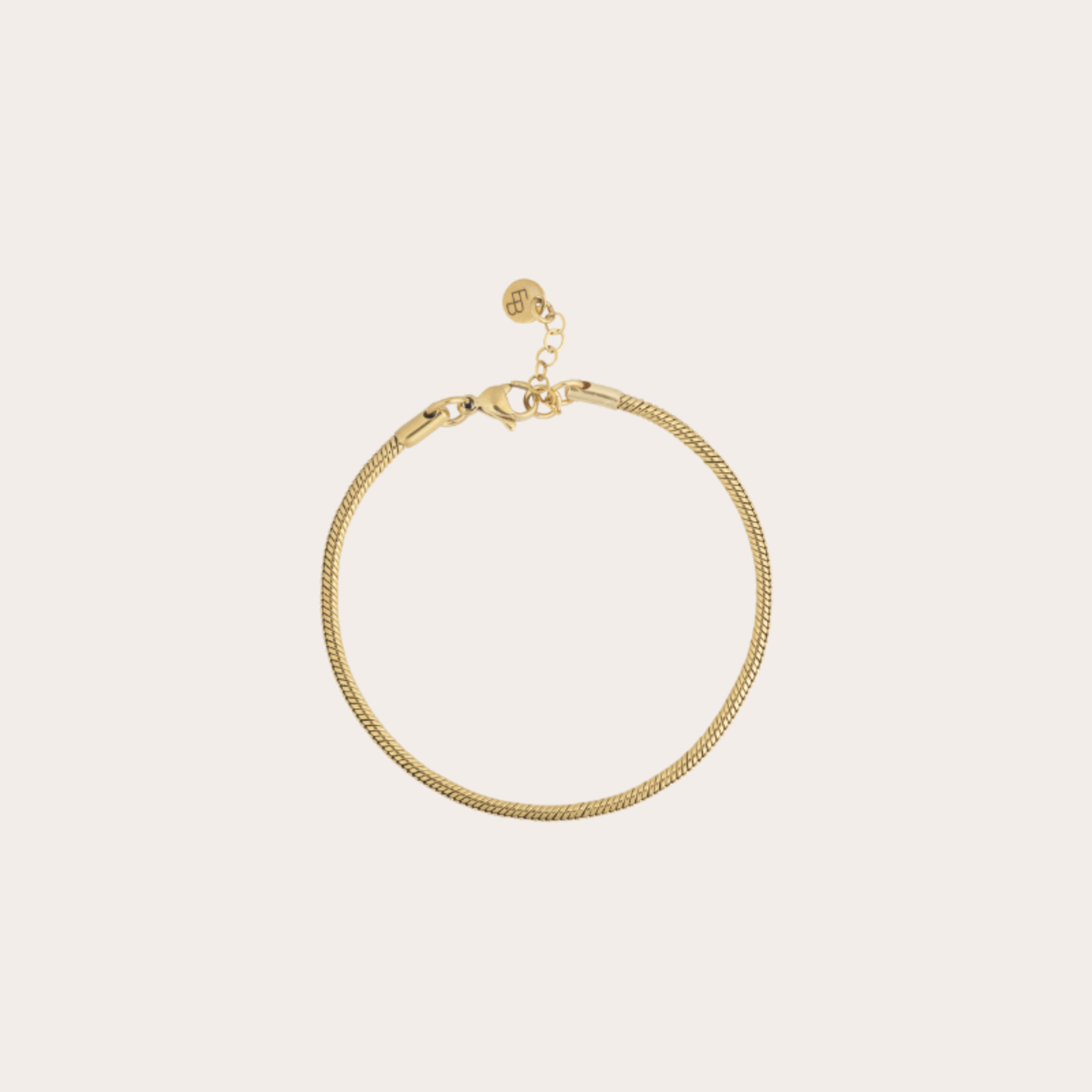 Enkelbandje "Snake" rond