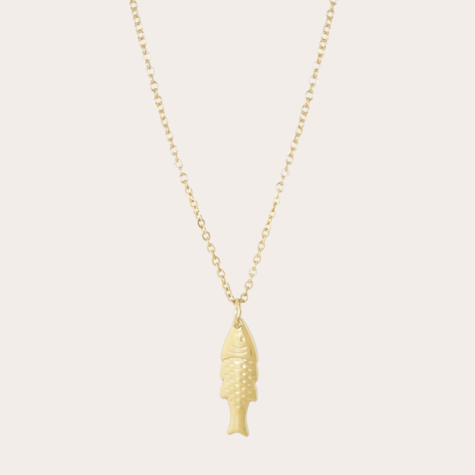 Fijne ketting met vishanger