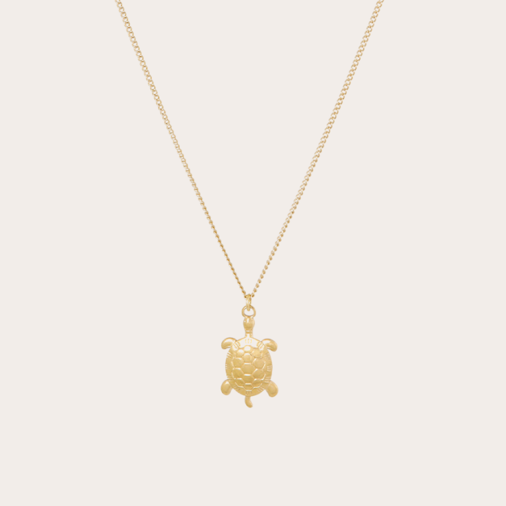 Ketting met schildpadhanger