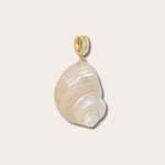 Bedel “shell” large