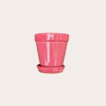Pot maevi - roze