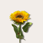 Zijden bloem - Zonnebloem