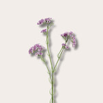 Zijden bloem - Limonium spray - paars