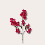 Zijden bloem - Bougainville- fuchsia