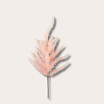 Zijden bloem - Astilbe - roze