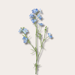 Zijden bloem - Ridderspoor- blauw