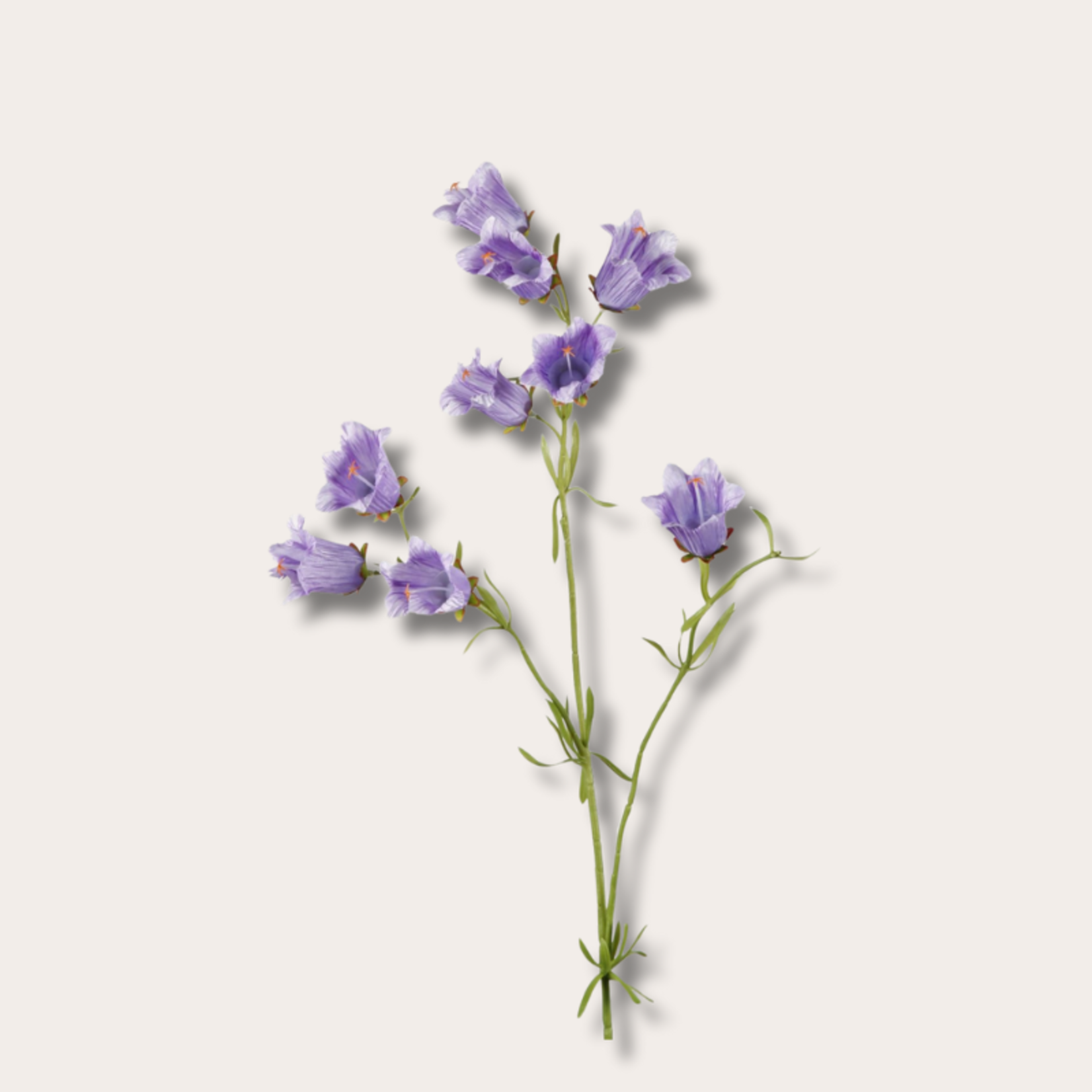 Zijden bloem - Campanula- lila
