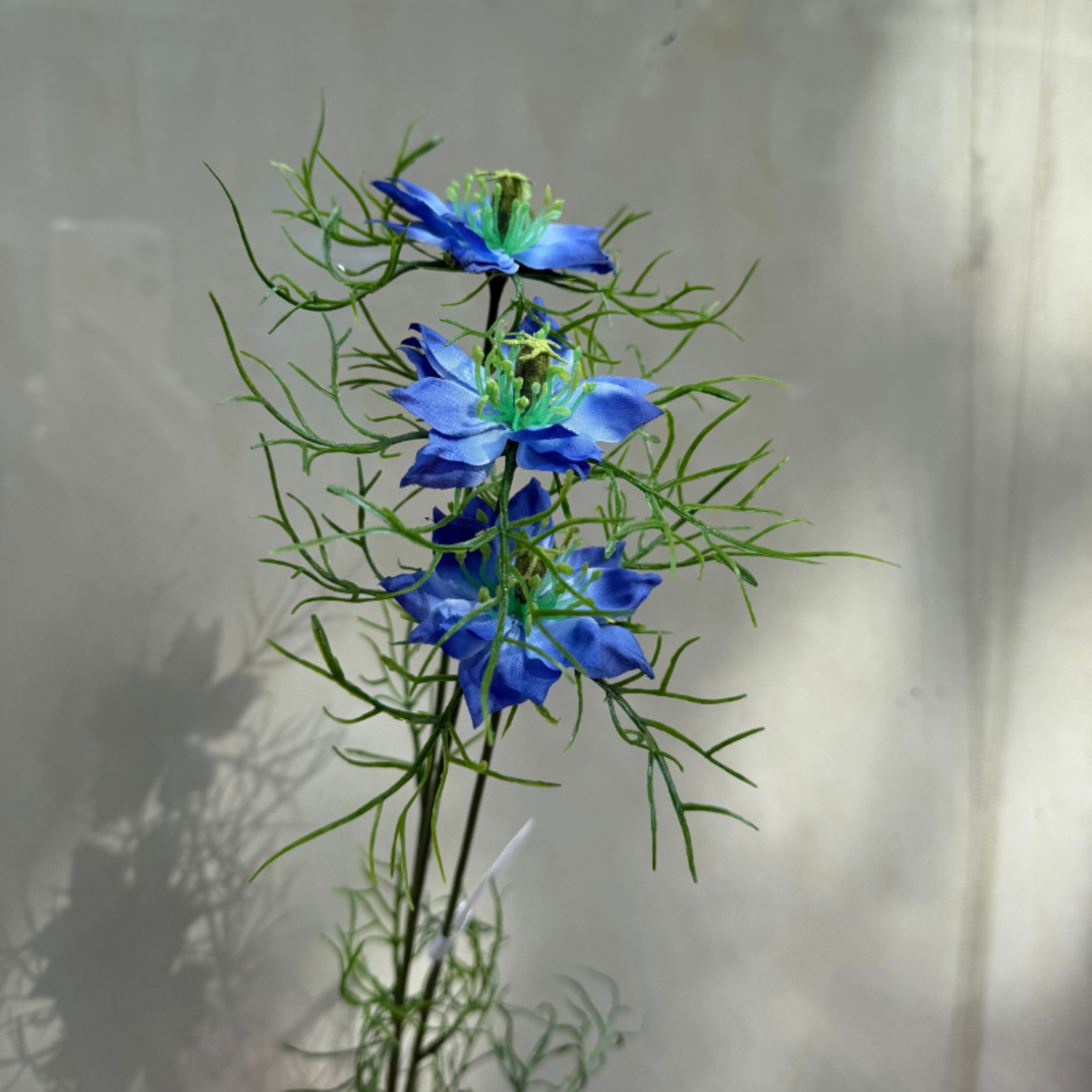 Zijden bloem - Juffertje - blauw