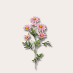 Zijden bloem - Madelief - roze