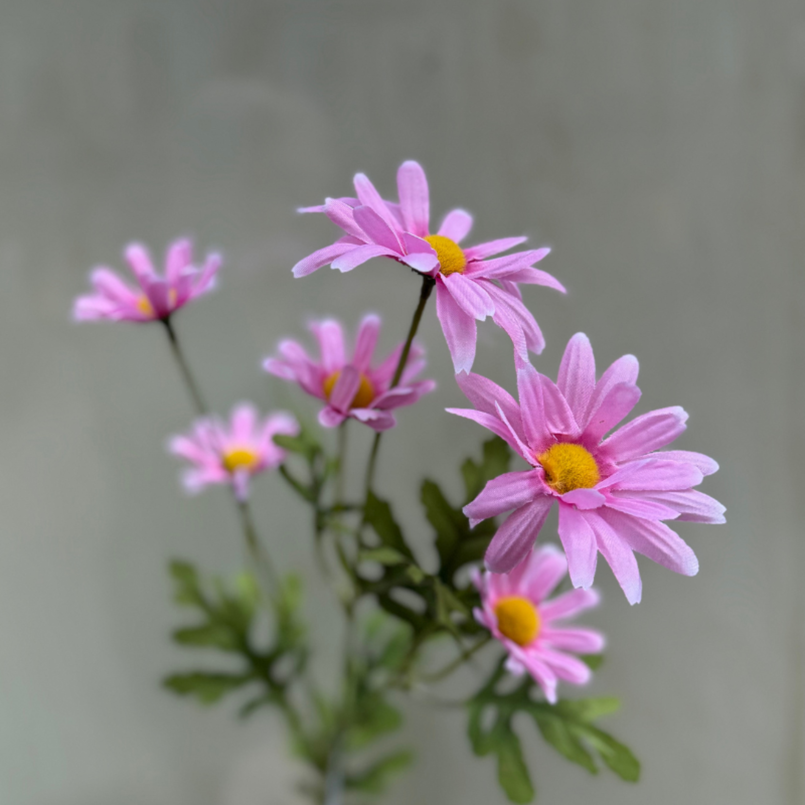 Zijden bloem - Madelief - roze