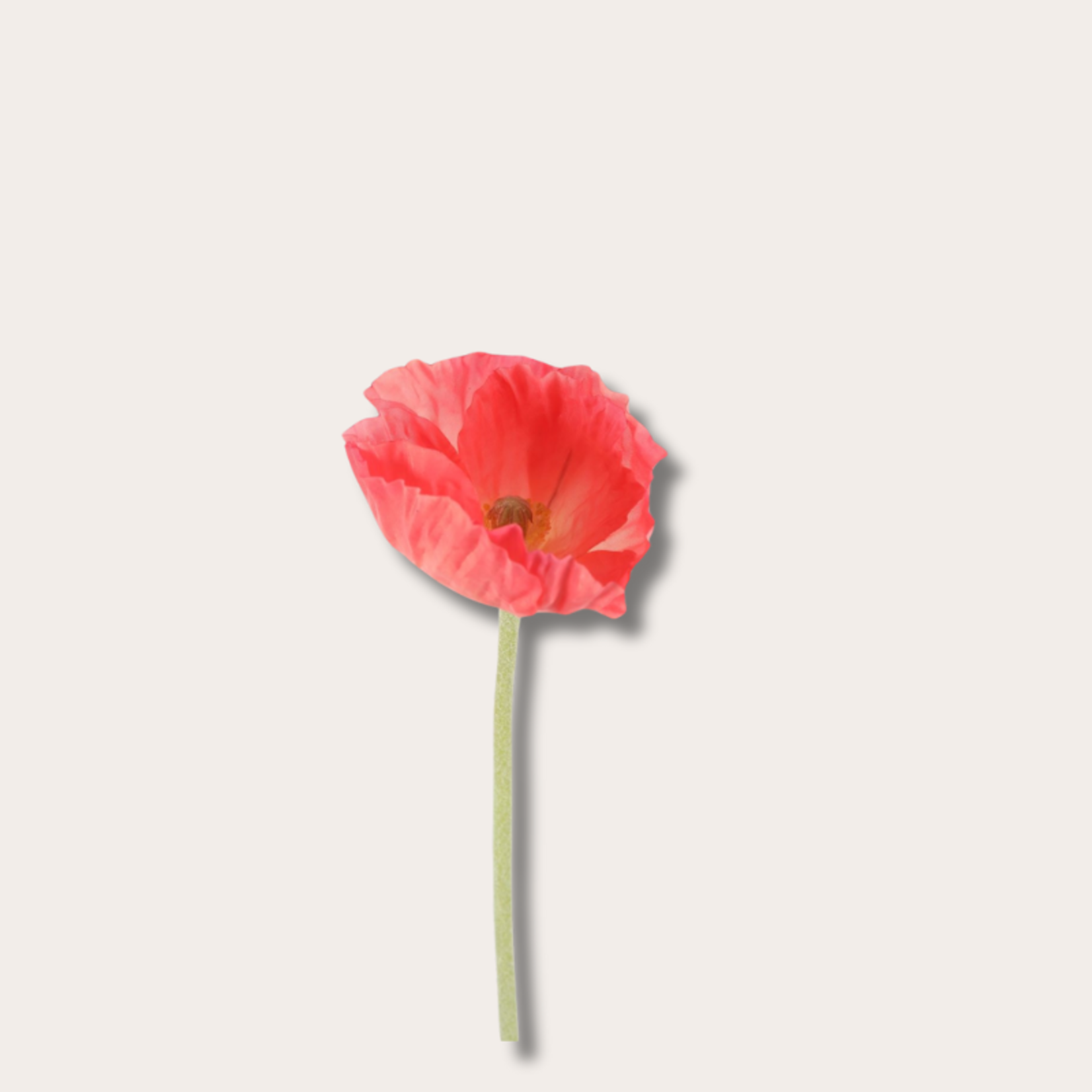 Zijden bloem - Poppy spray enkel - koraal