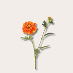 Zijden bloem - Dahlia spray enkel - oranje