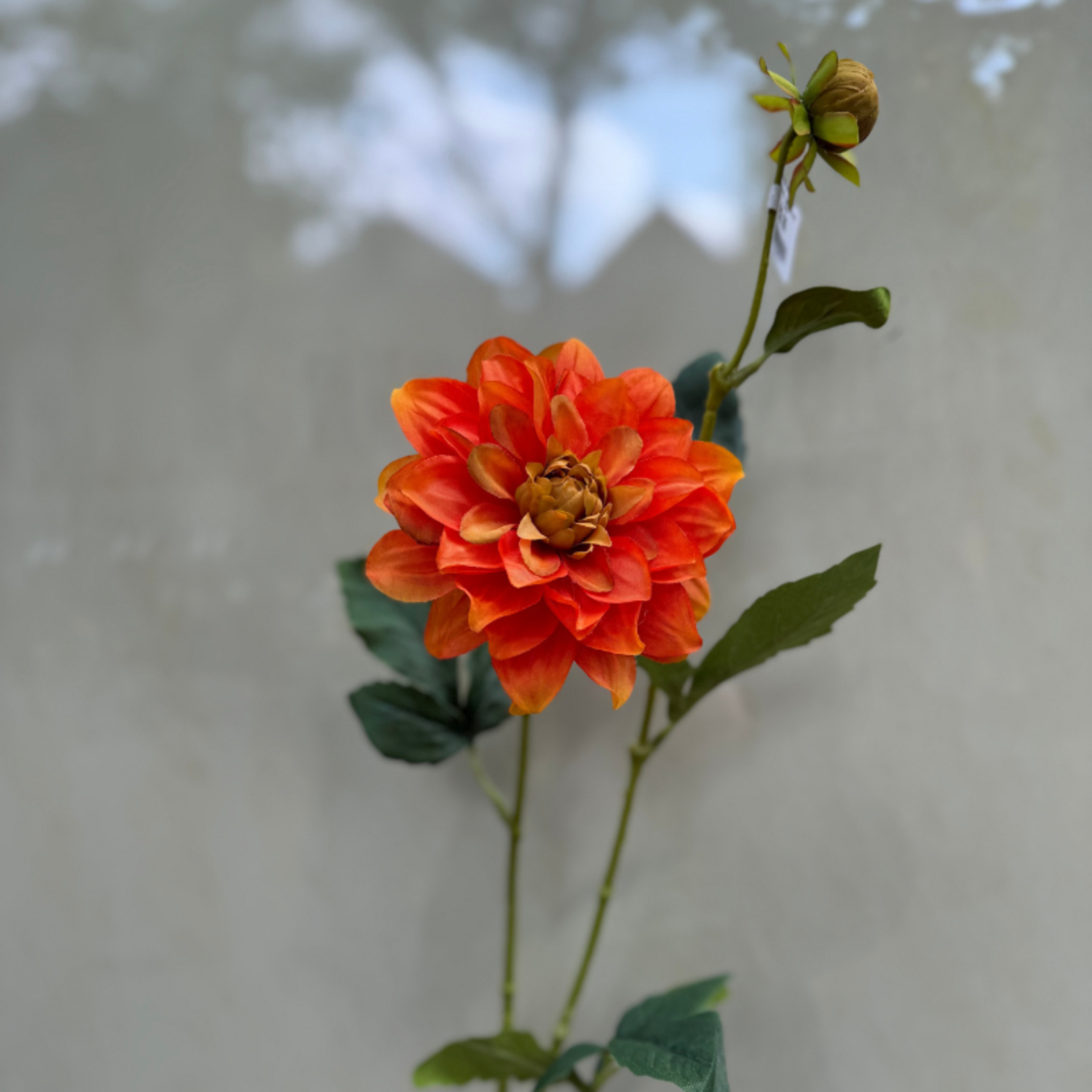 Zijden bloem - Dahlia spray enkel - oranje