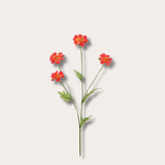 Zijden bloem - Madelief - koraal