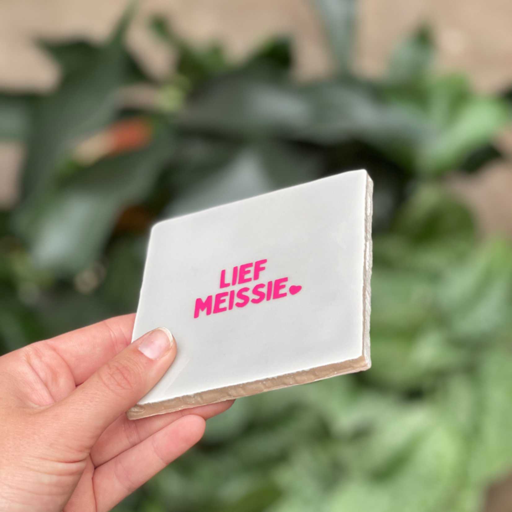 Tegeltje - Lief meissie