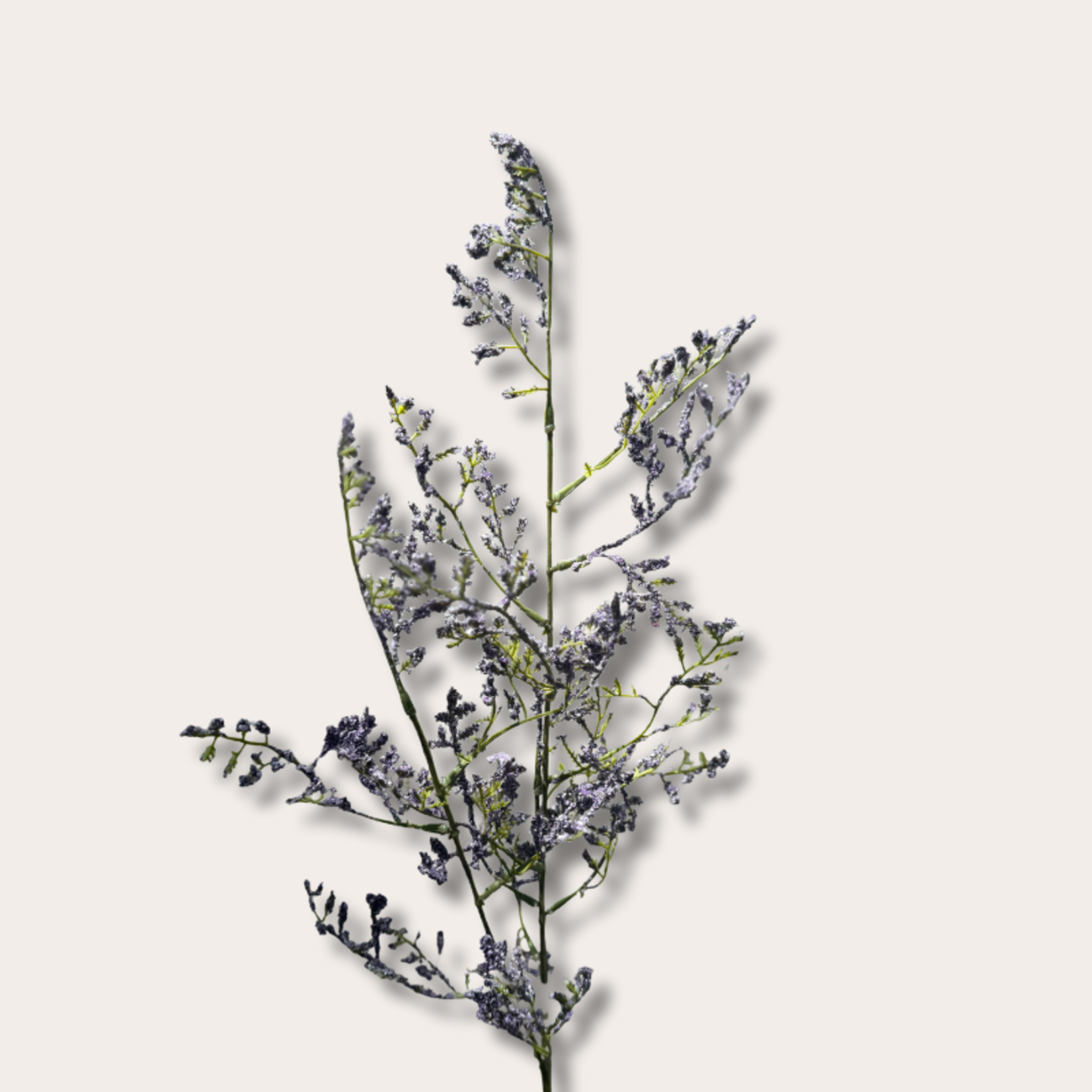 Zijden bloem - Limonium - paars