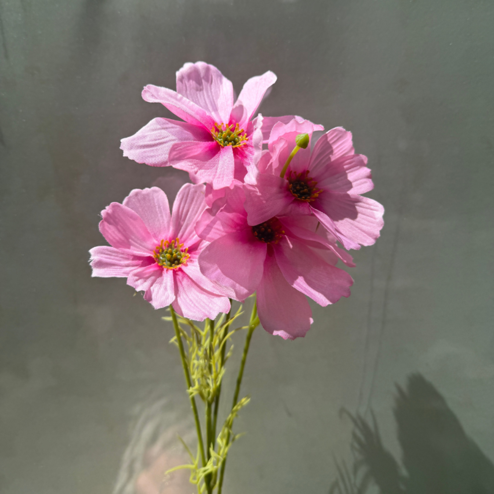 Zijden bloem - Cosmos spray pink