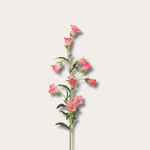 Zijden bloem - Campanula Spray
