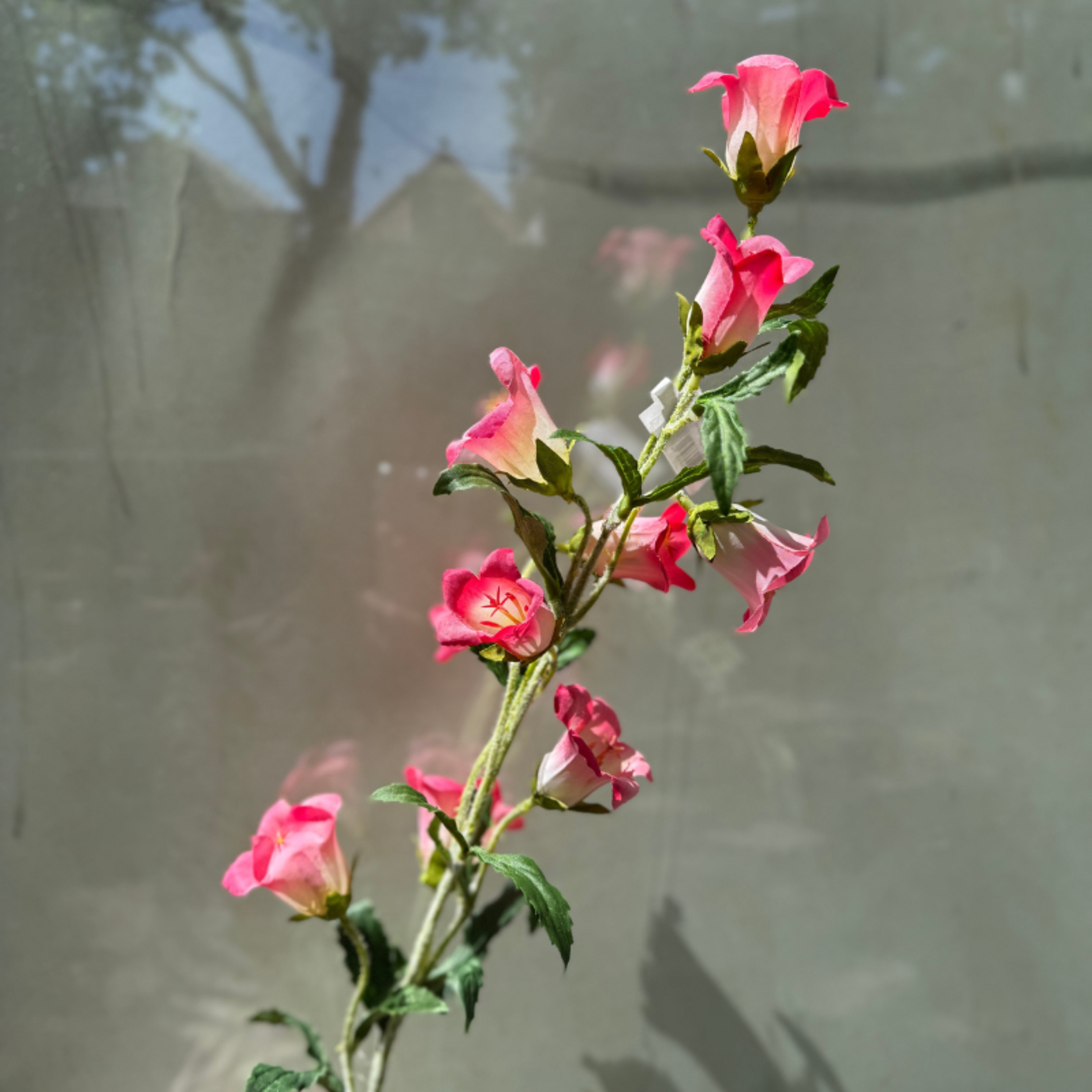 Zijden bloem - Campanula Spray