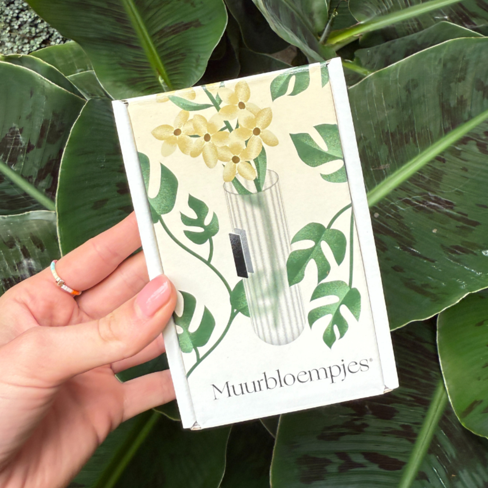 Muurbloempjes 1 planthanger XL  - ribbel roze