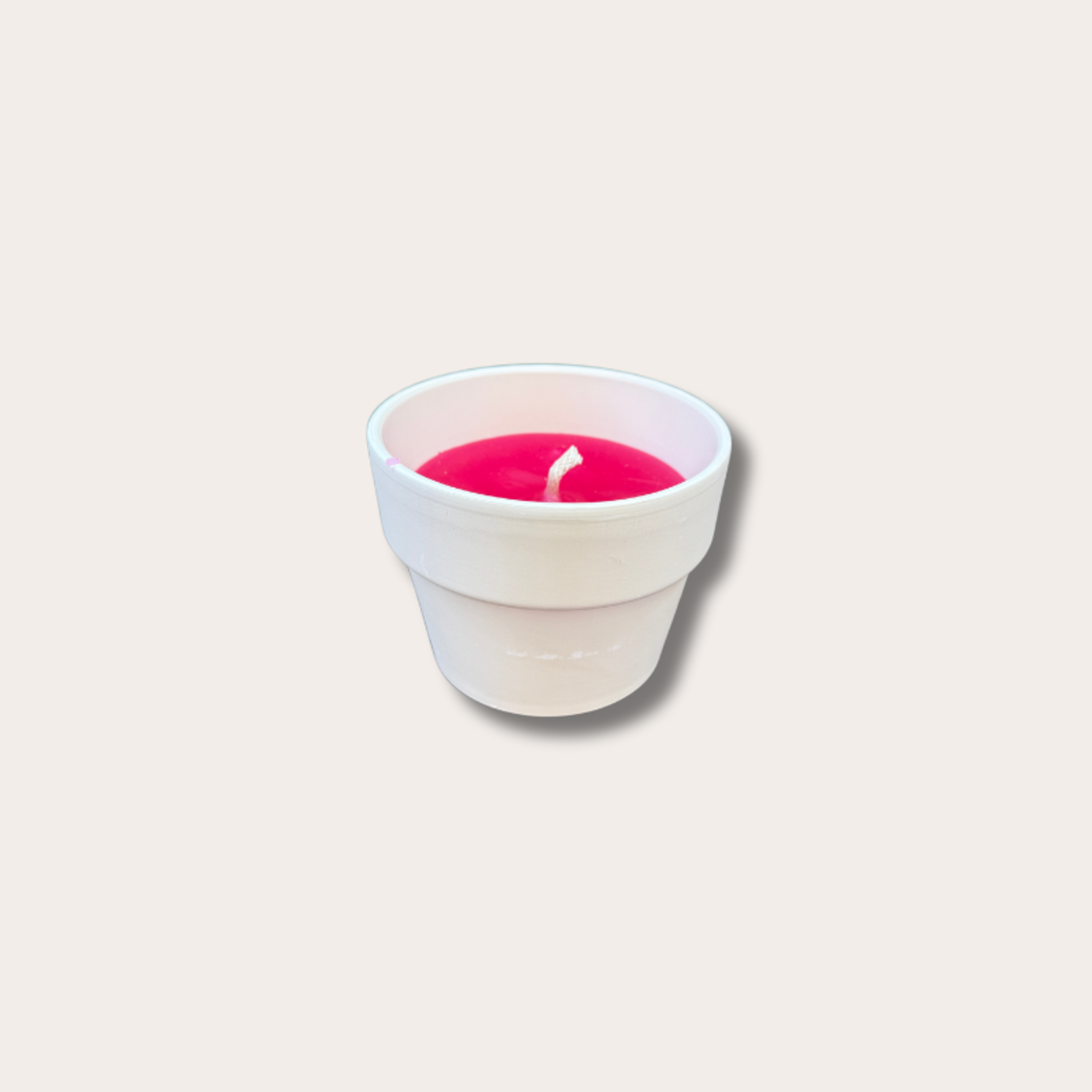 Buiten kaars - creme terracotta pot S - Fuchsia