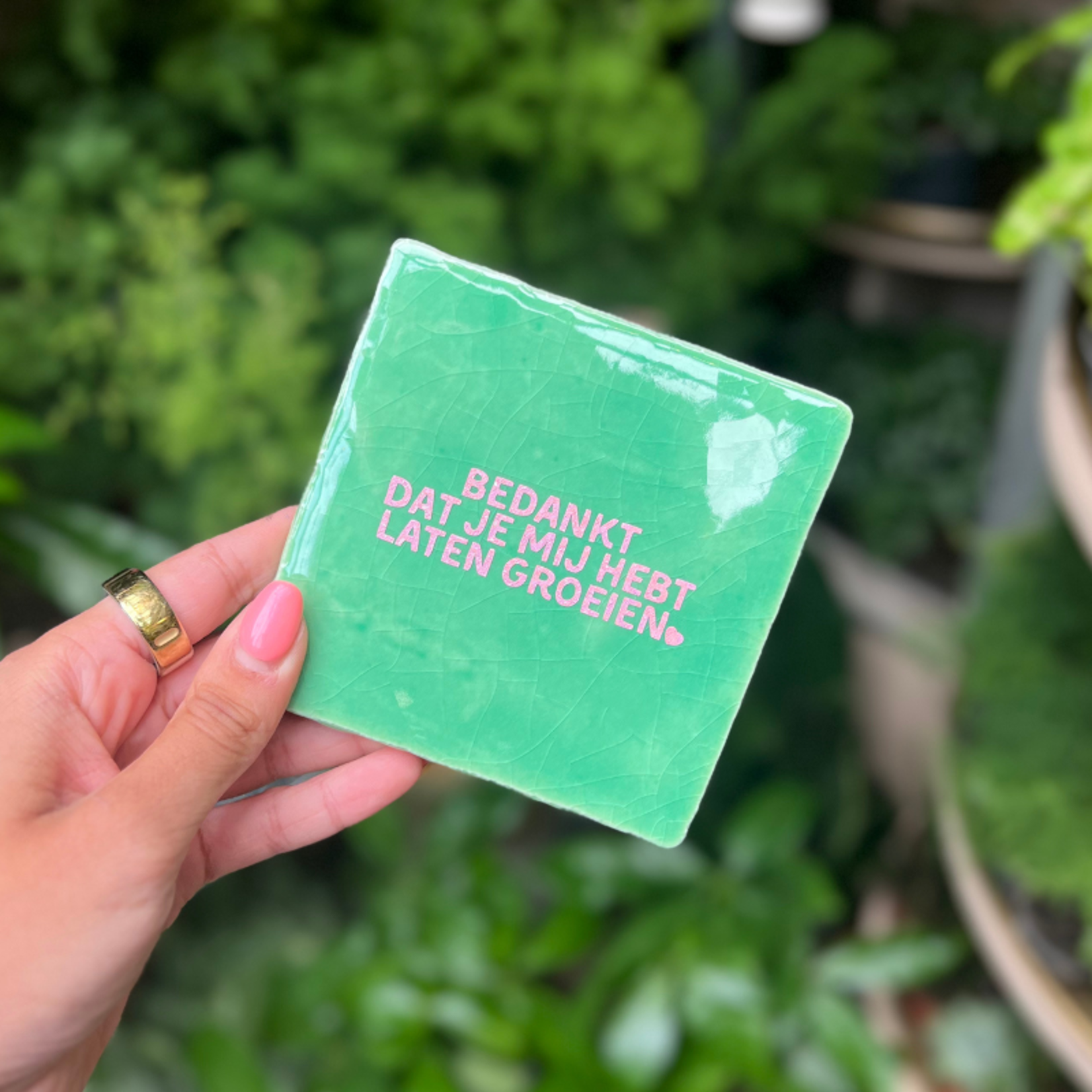 Tegeltje - Bedankt dat je mij hebt laten groeien