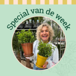 Groene Vingers Special van de week