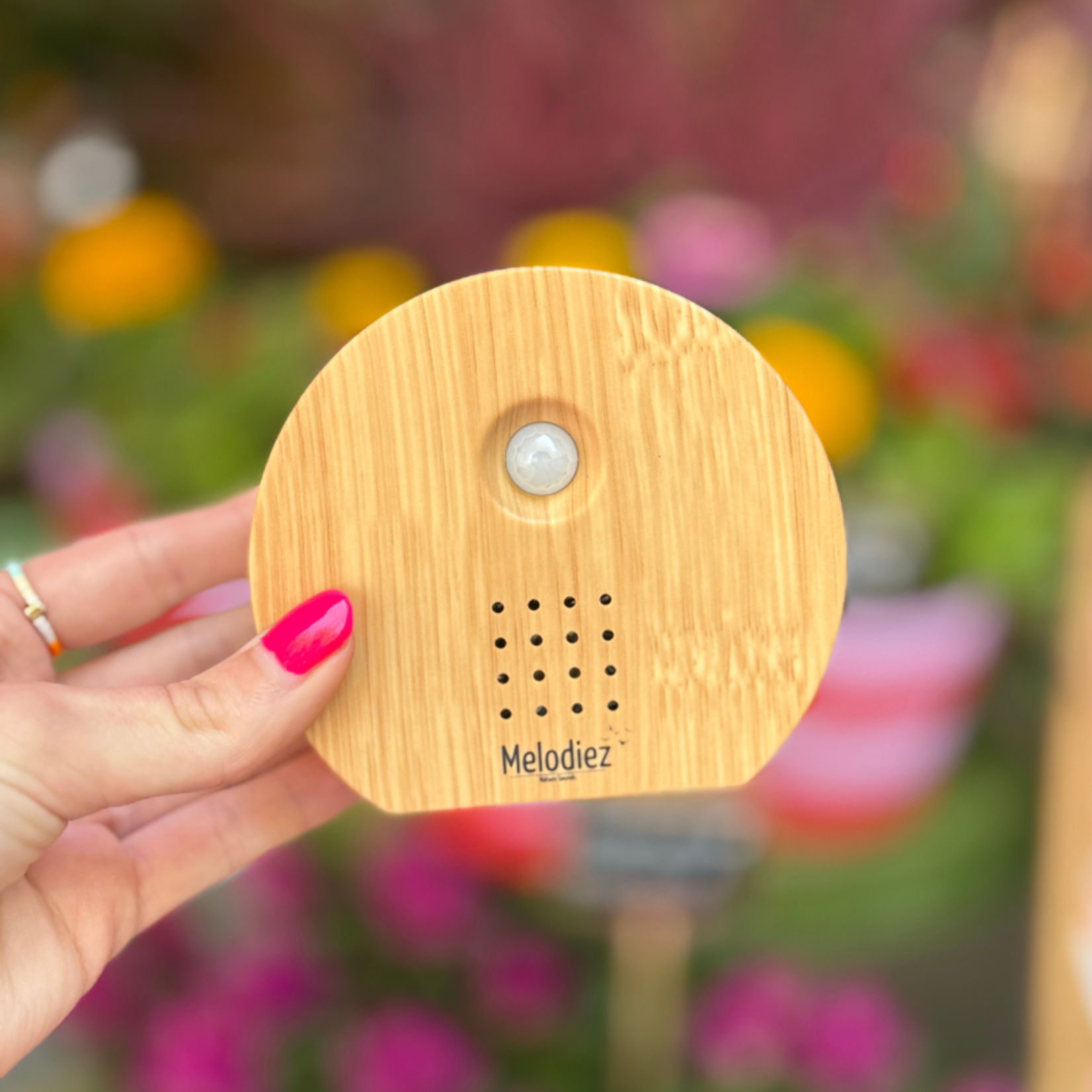 Nature sound box - Wood light