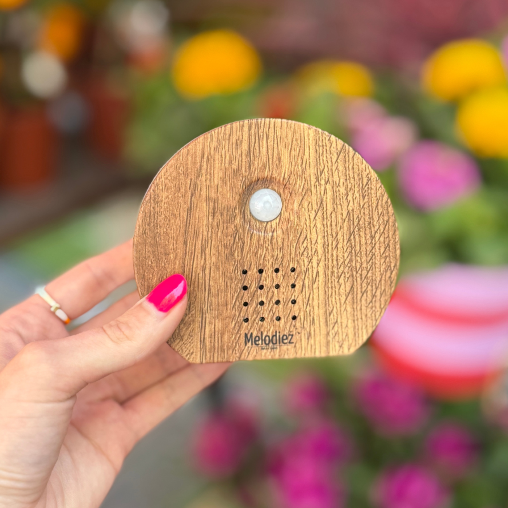 Nature sound box - Wood