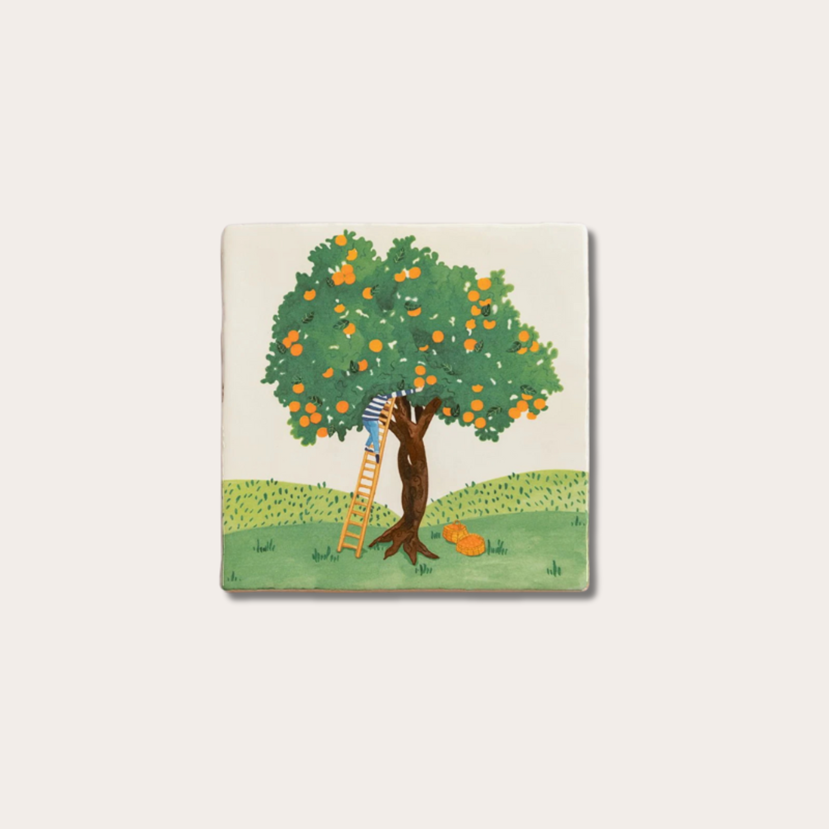 Storytiles Storytiles - Fruit picking
