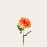 Zijden bloem - Engelse Roos - oranje/geel