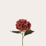 Zijden bloem - Hortensia - bordeaux