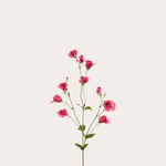 Zijden bloem - Pronkerwt - roze