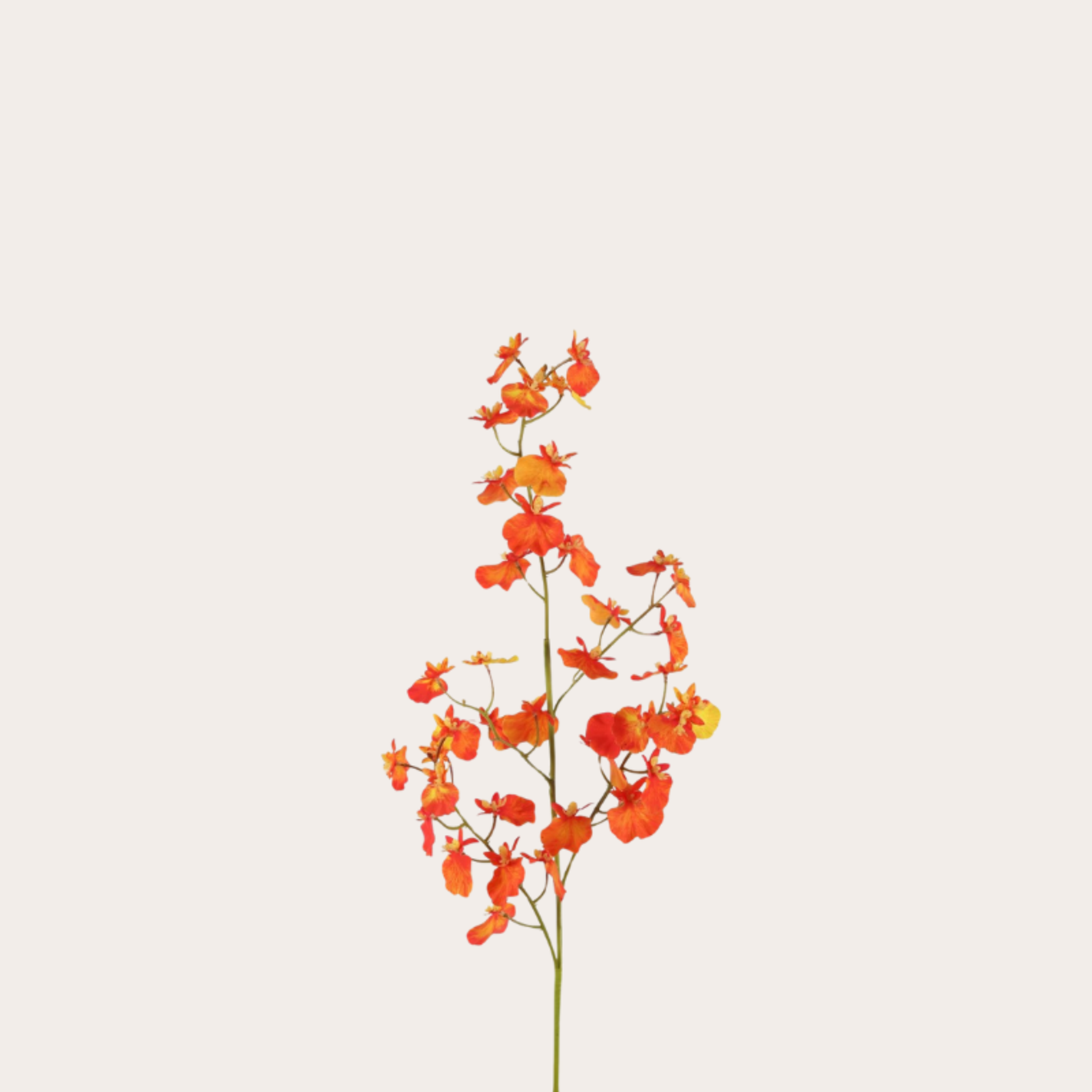 Zijden bloem - Oncidium orchidee - Oranje/geel