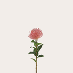 Zijden bloem - Suikerbos - roze