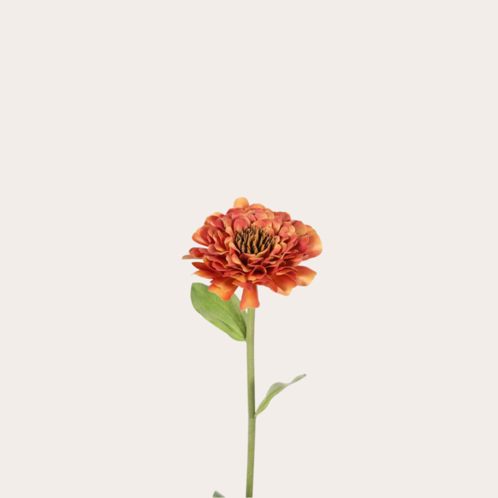Zijden bloem - Zinnia - oranje/geel