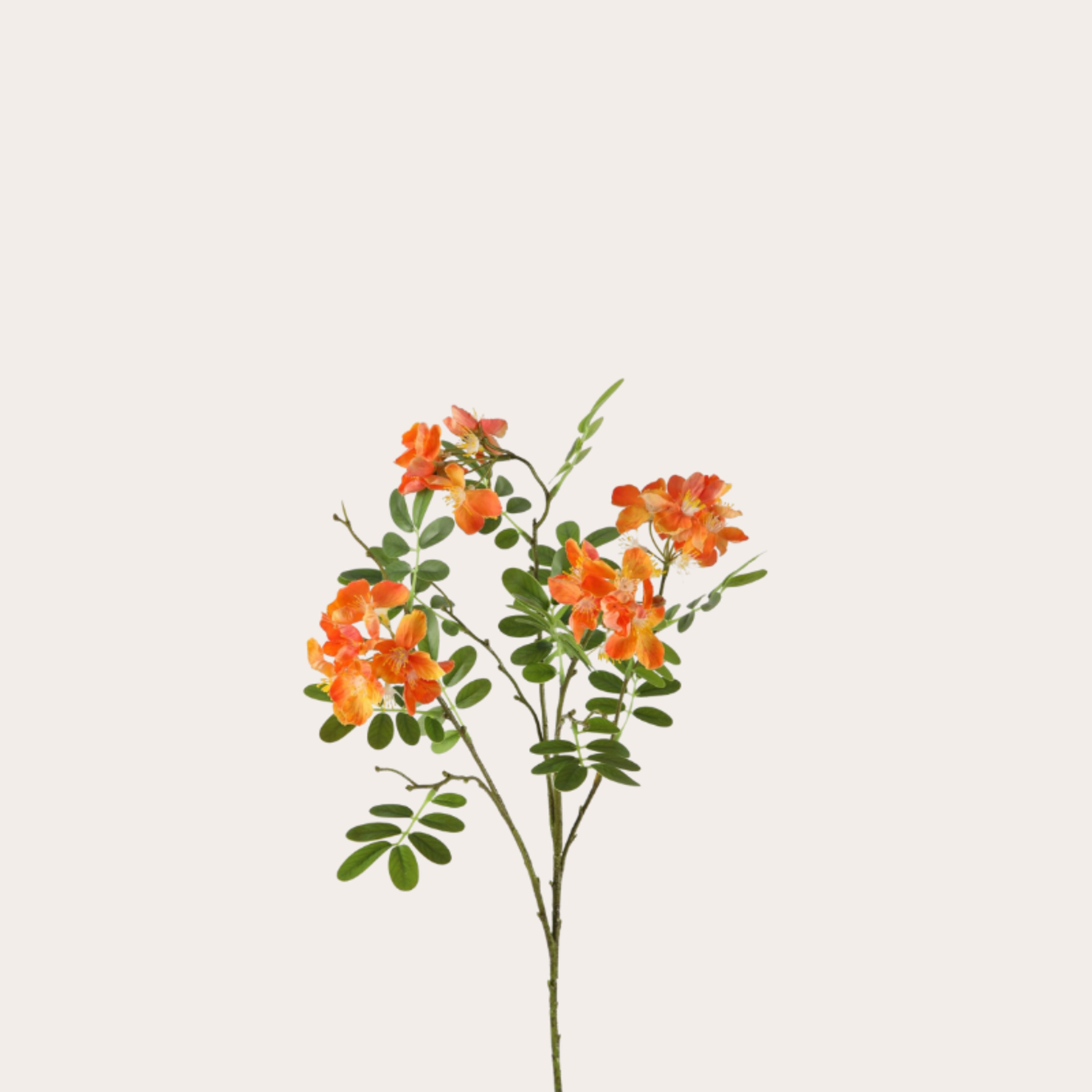 Zijden bloem - Japanse weigela - oranje/geel
