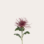 Zijden bloem - Chrysant - paars